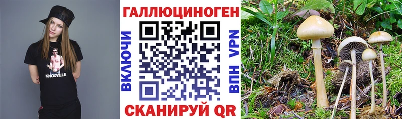 Галлюциногенные грибы ЛСД Купить закладки Куйбышев